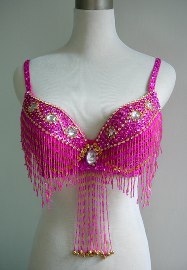 BL38 Belly Dance Sequined Beaded Fringed Bra Top Brassiere Gems