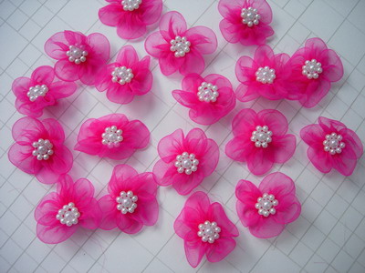 Appliques
