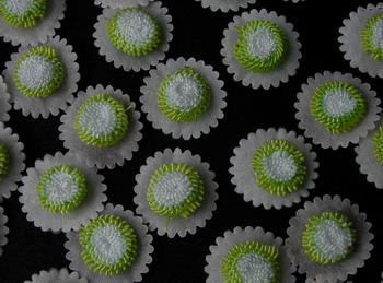 RZ05 Padded 2Tone Chrysanthemum Flower Applique Motif 24pcs RZ05 Padded 2Tone Chrysanthemum Flower Applique Motif 24pcs