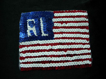 PA09 Sequin Applique RL POLO Patriotic USA Flag Sequin Motif - Click Image to Close