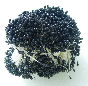 SH08 Double Head Flower Stamens Black 3mm x 5bundles SH08 Double Head Flower Stamens Black 3mm x 5bundles